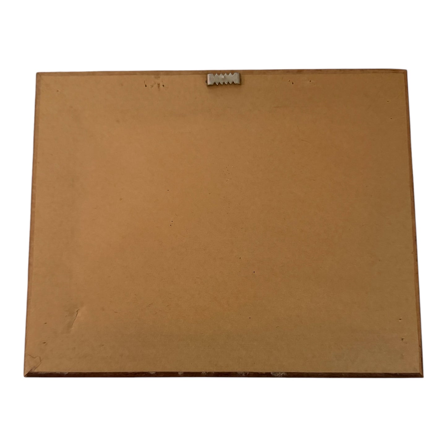 Diane Ulmer Pedersen Vintage Folk Art Fruit Prints – Set of 2 Framed Cottagecore Kitchen Art