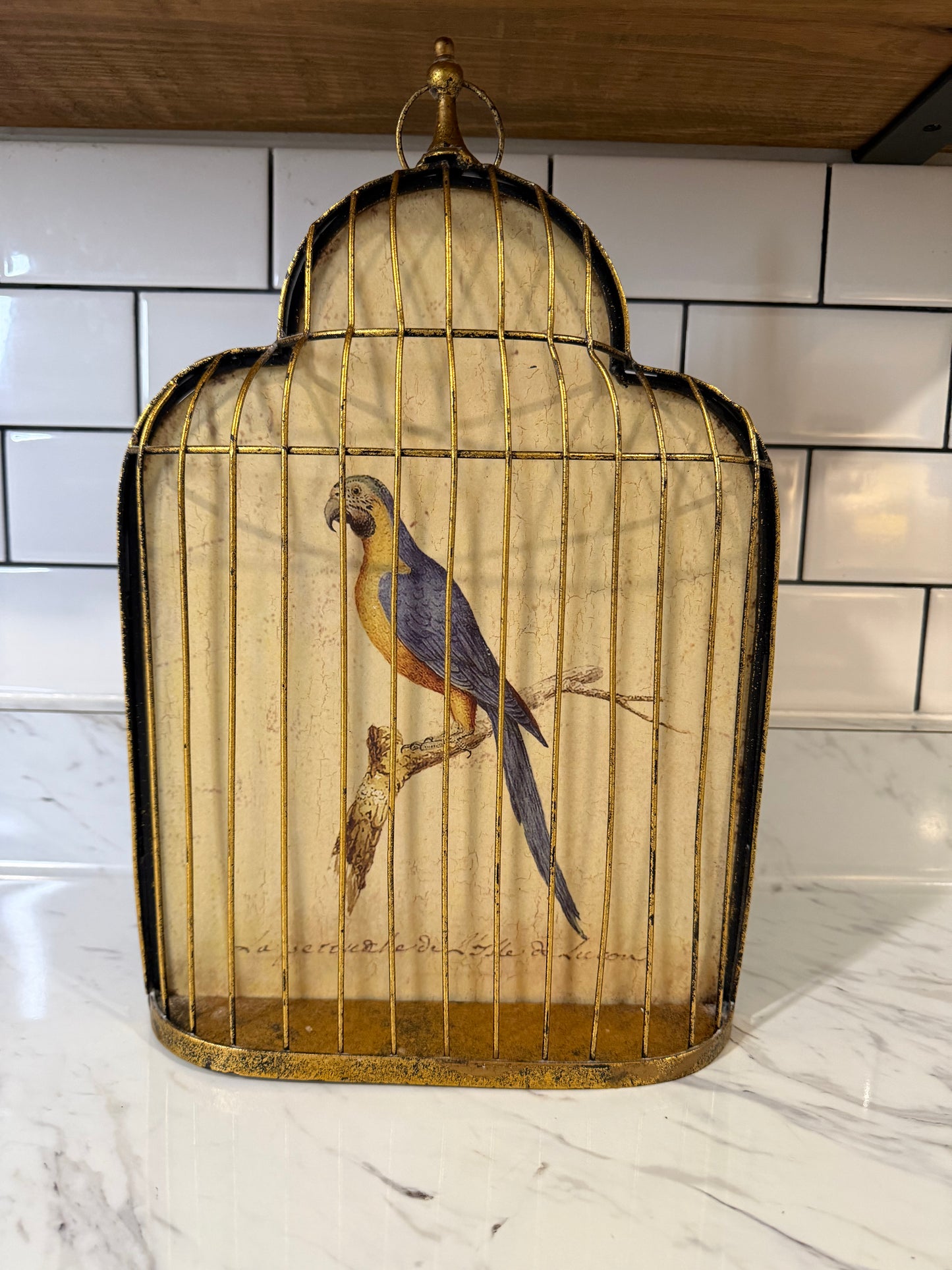 Trompe-l’œil Birdcage Wall Art