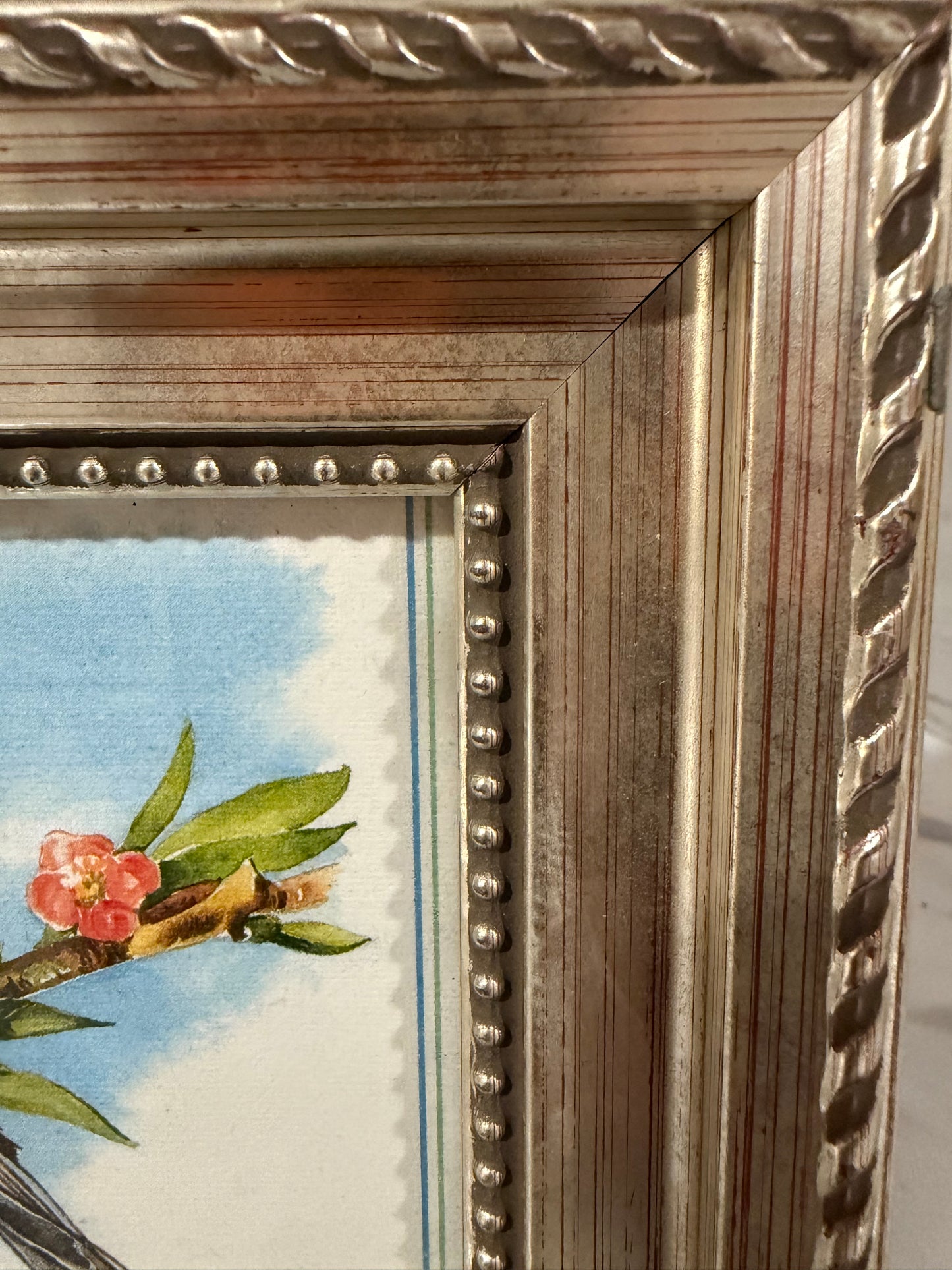 Vintage-Style Finch Illustration in Ornate Silver Frame