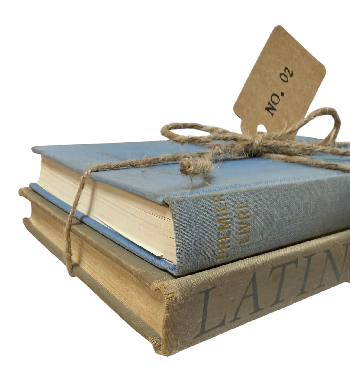 Perfectly Paired Vintage French & Latin Book Stack – Set of 2
