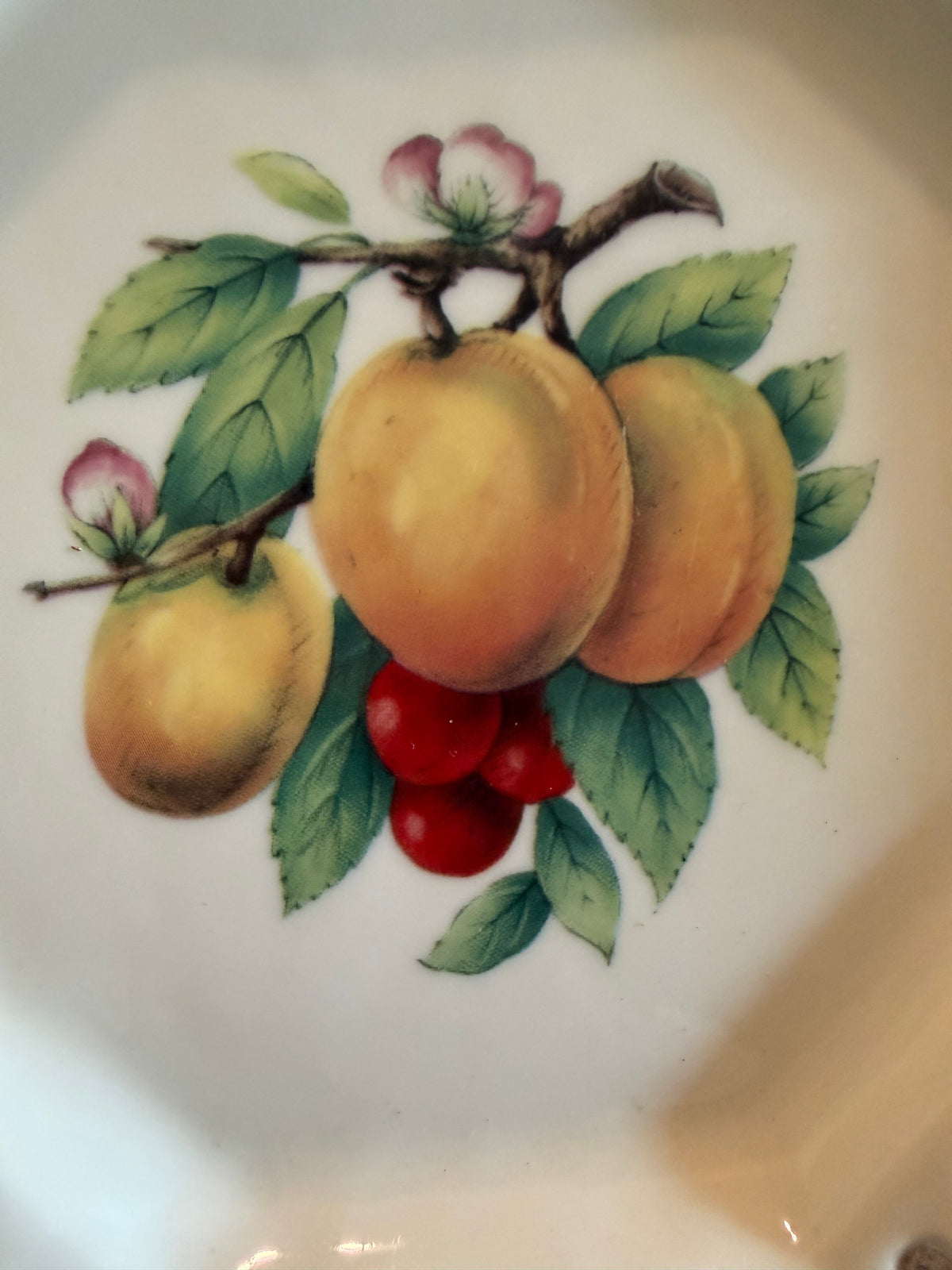 German Reticulated Porcelain Vintage Wall Plate | Cottagecore Fruit Decor | Gold Gilt Pierced Hanging Plate