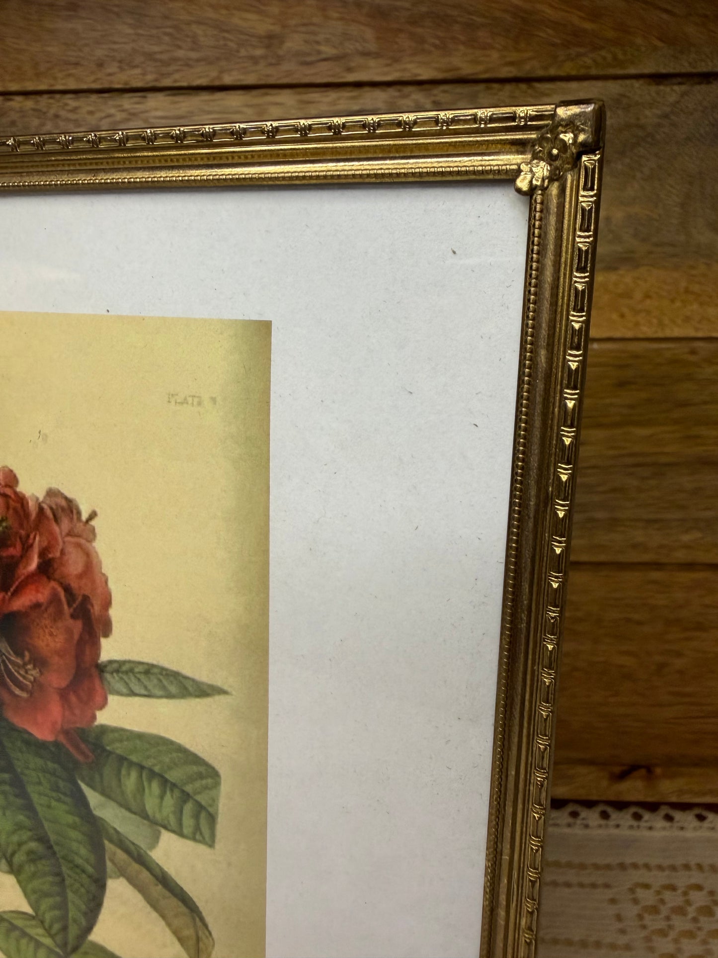 Vintage Gold Metal 8x10 Picture Frame (1950s–1960s)