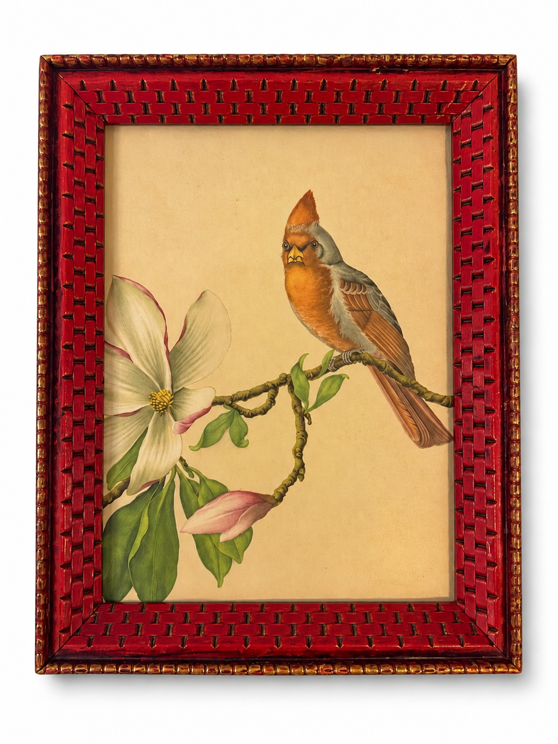 Vintage D. Alexandroff Bird & Blossom Botanical Print – Ornate Red Basketweave Frame – Mid-Century Wall Art