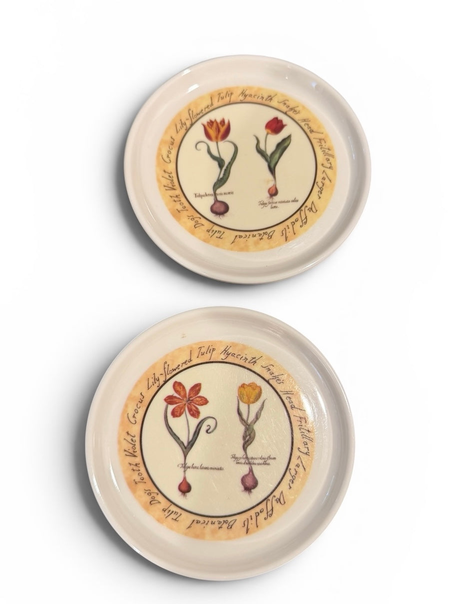 Cloverleaf Botanical “Tulip Bulbs” Vintage Melamine Coaster Set (5) With Case – Made in England
