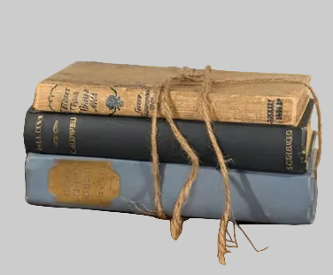 Curated Vintage Literary - Blue Books - Stack – Ready to Display