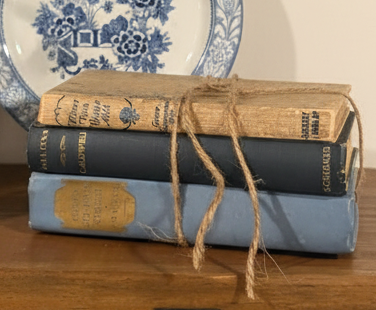 Curated Vintage Literary - Blue Books - Stack – Ready to Display