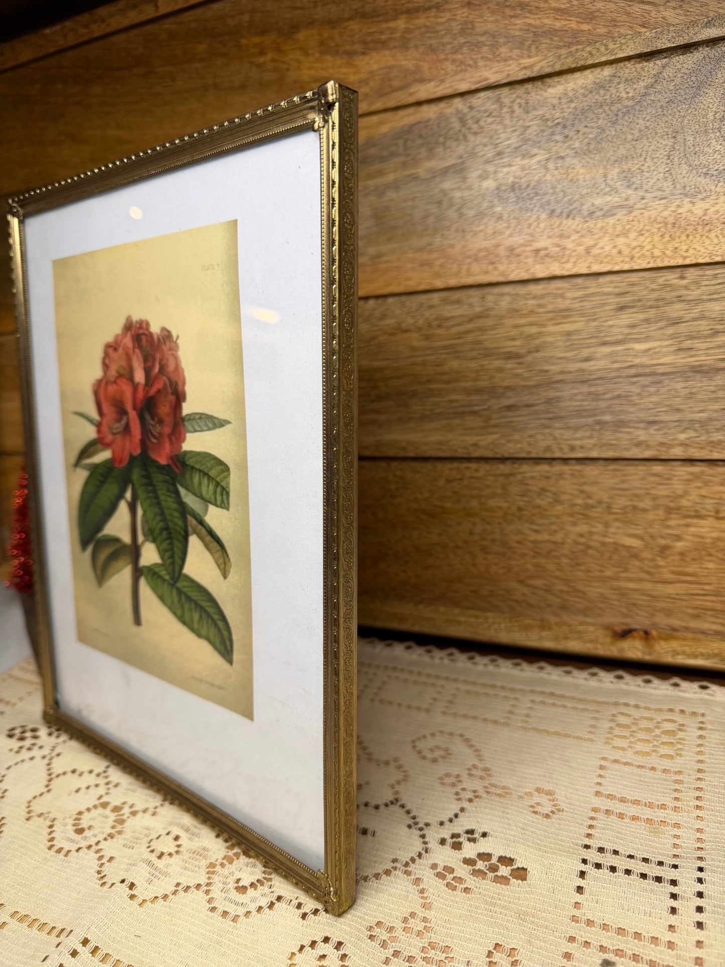 Vintage Gold Metal 8x10 Picture Frame (1950s–1960s)