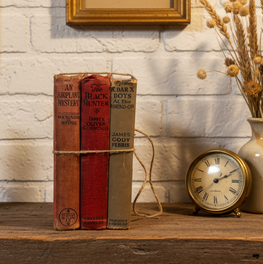 Vintage Adventure Book Trio | Vintage Decor | Early 20th-Century Juvenile Classics (1920s–1930s)