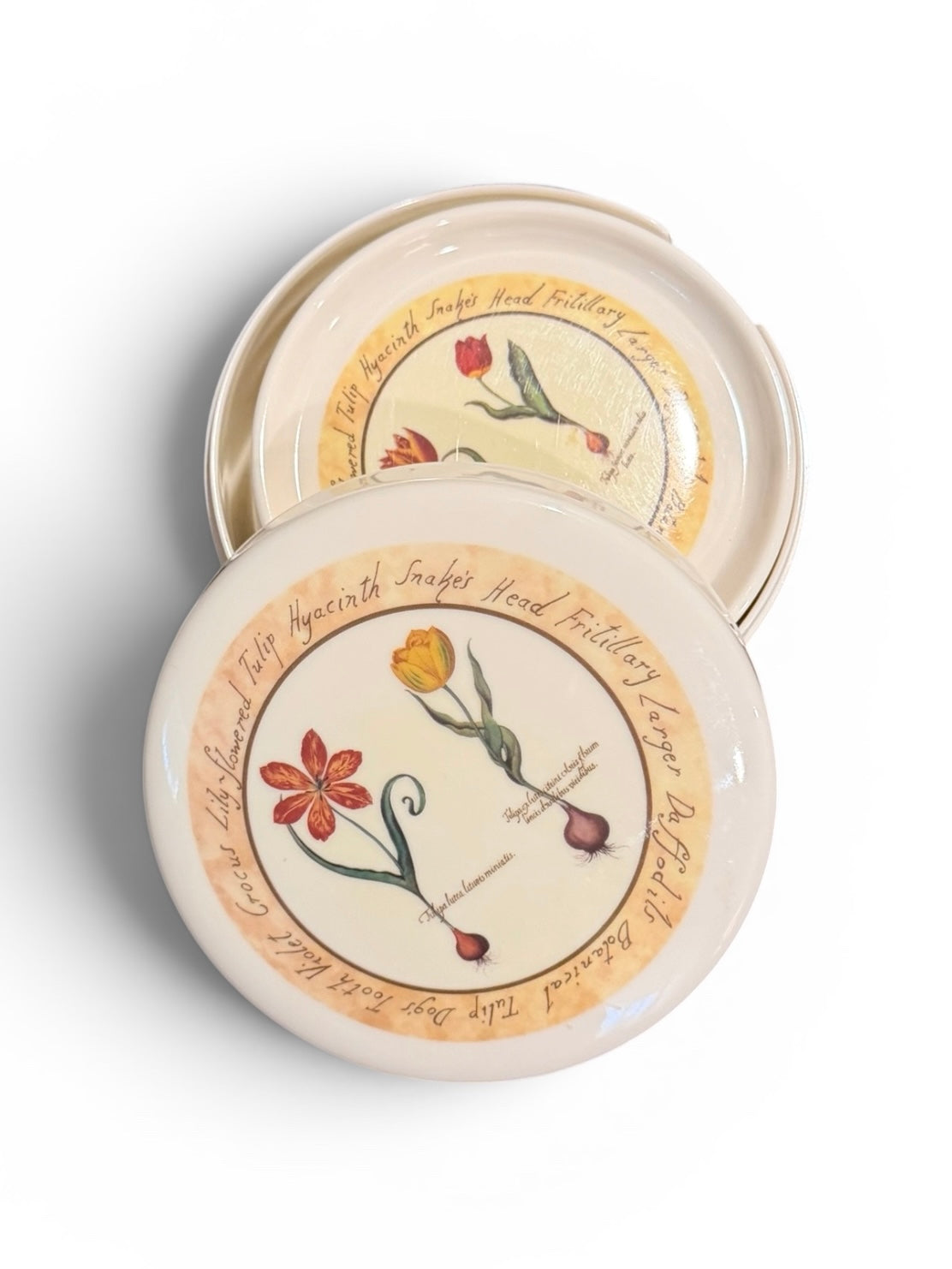 Cloverleaf Botanical “Tulip Bulbs” Vintage Melamine Coaster Set (5) With Case – Made in England