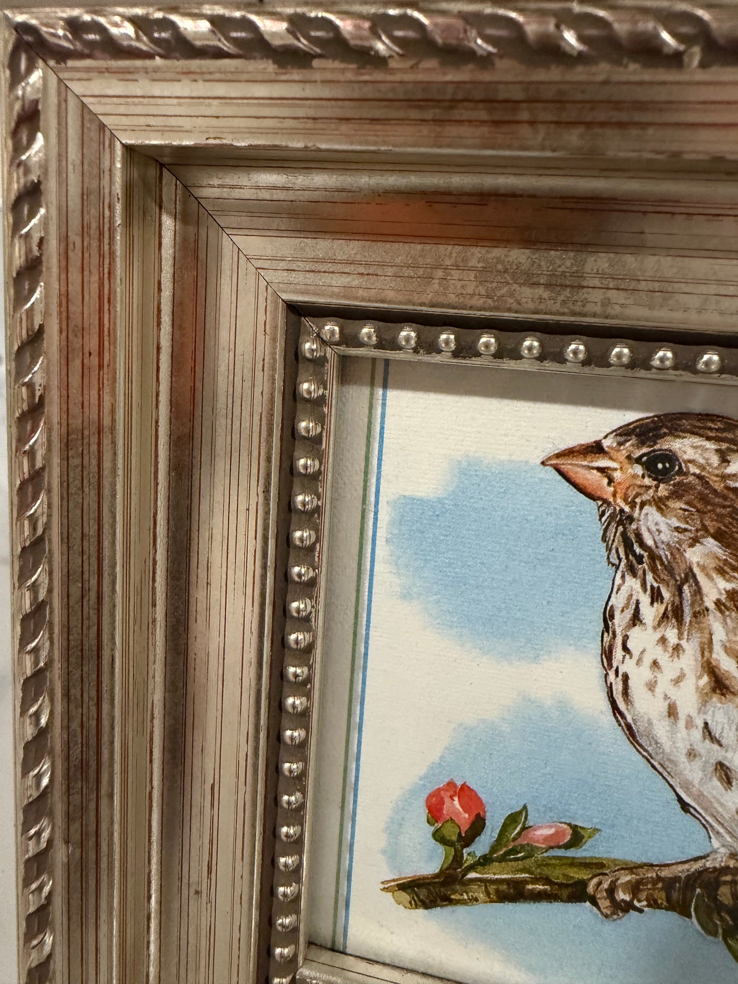 Vintage-Style Finch Illustration in Ornate Silver Frame