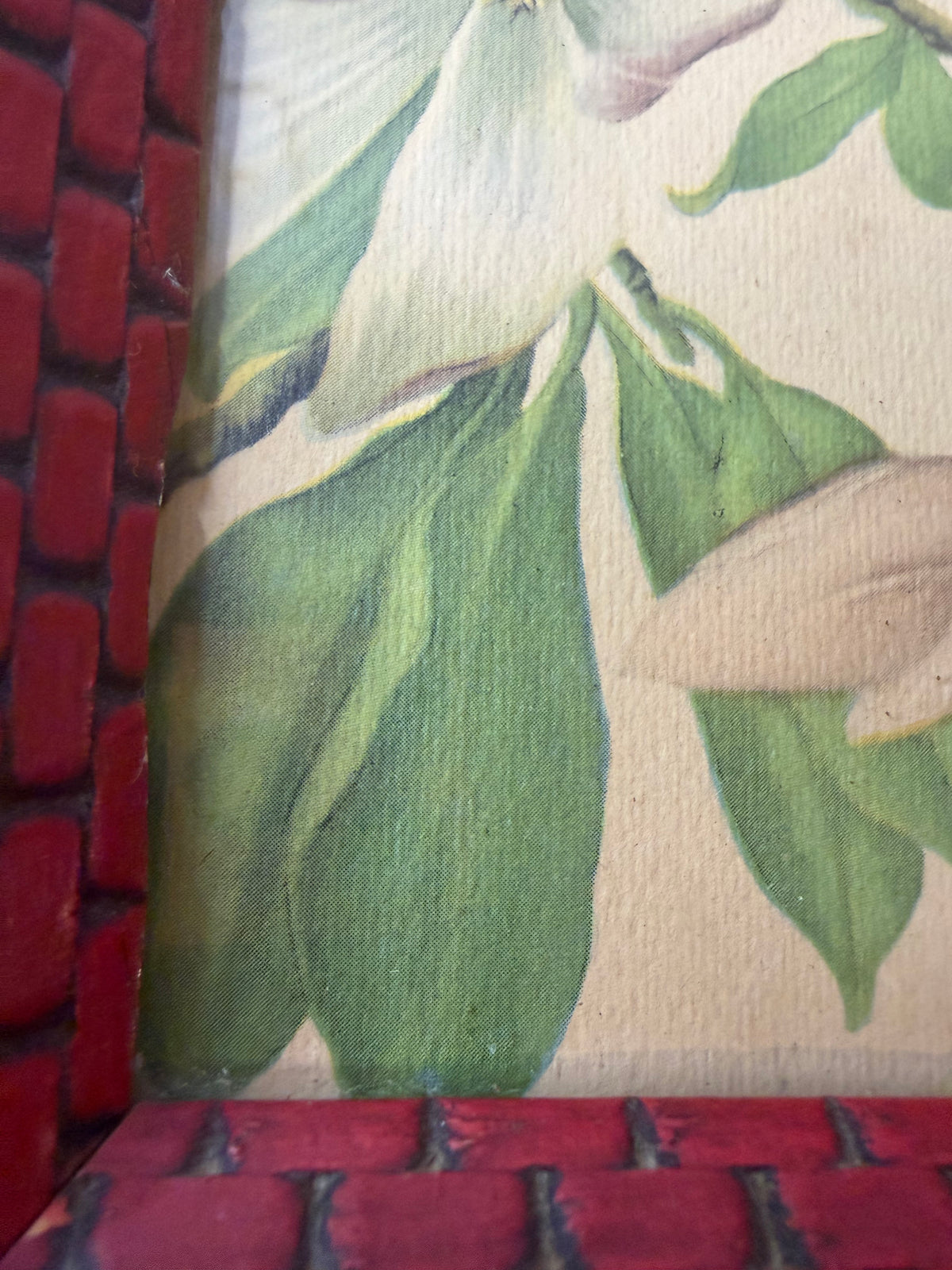 Vintage D. Alexandroff Bird & Blossom Botanical Print – Ornate Red Basketweave Frame – Mid-Century Wall Art