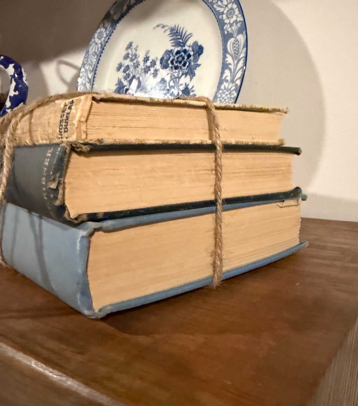 Curated Vintage Literary - Blue Books - Stack – Ready to Display