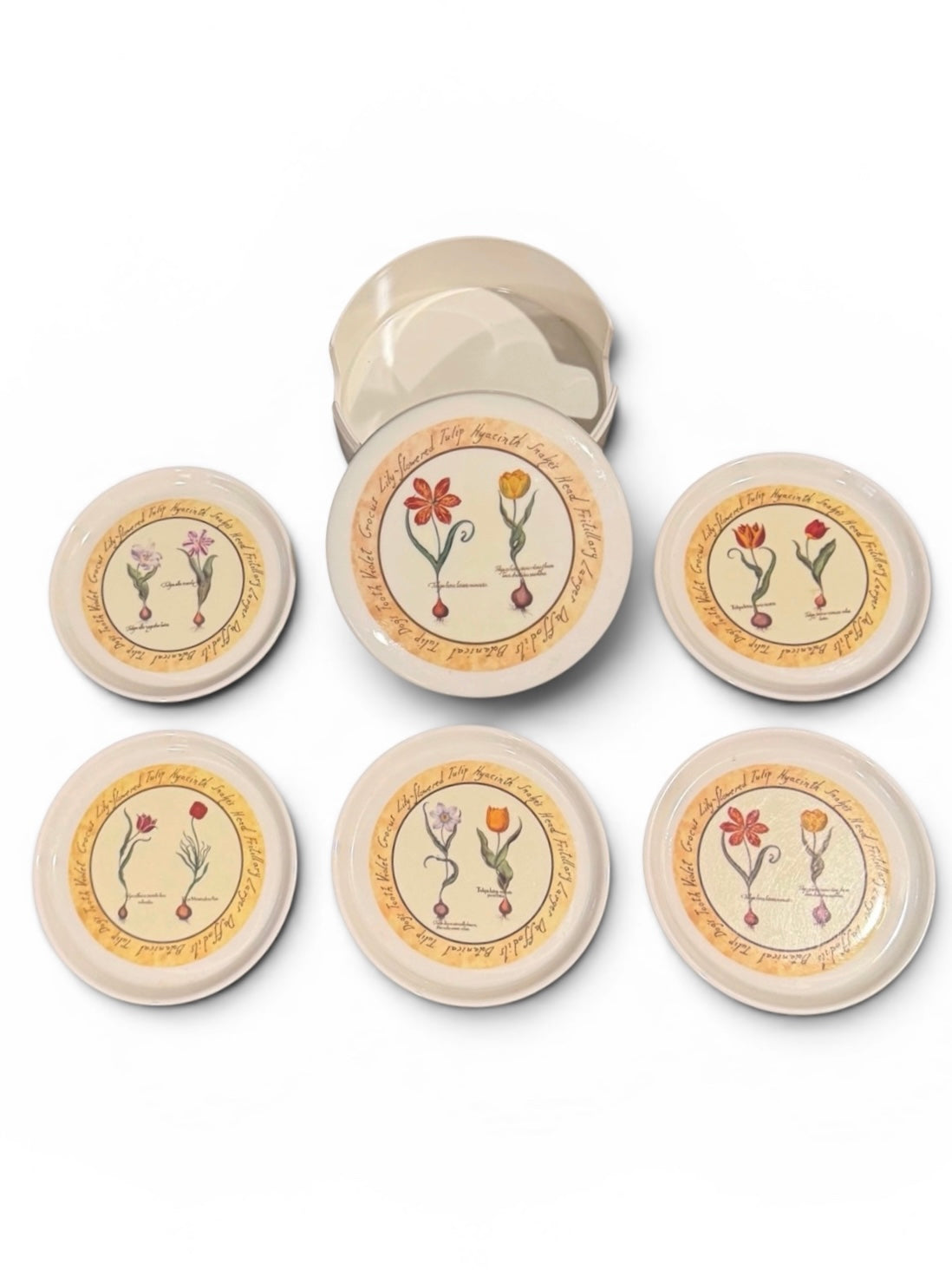 Cloverleaf Botanical “Tulip Bulbs” Vintage Melamine Coaster Set (5) With Case – Made in England