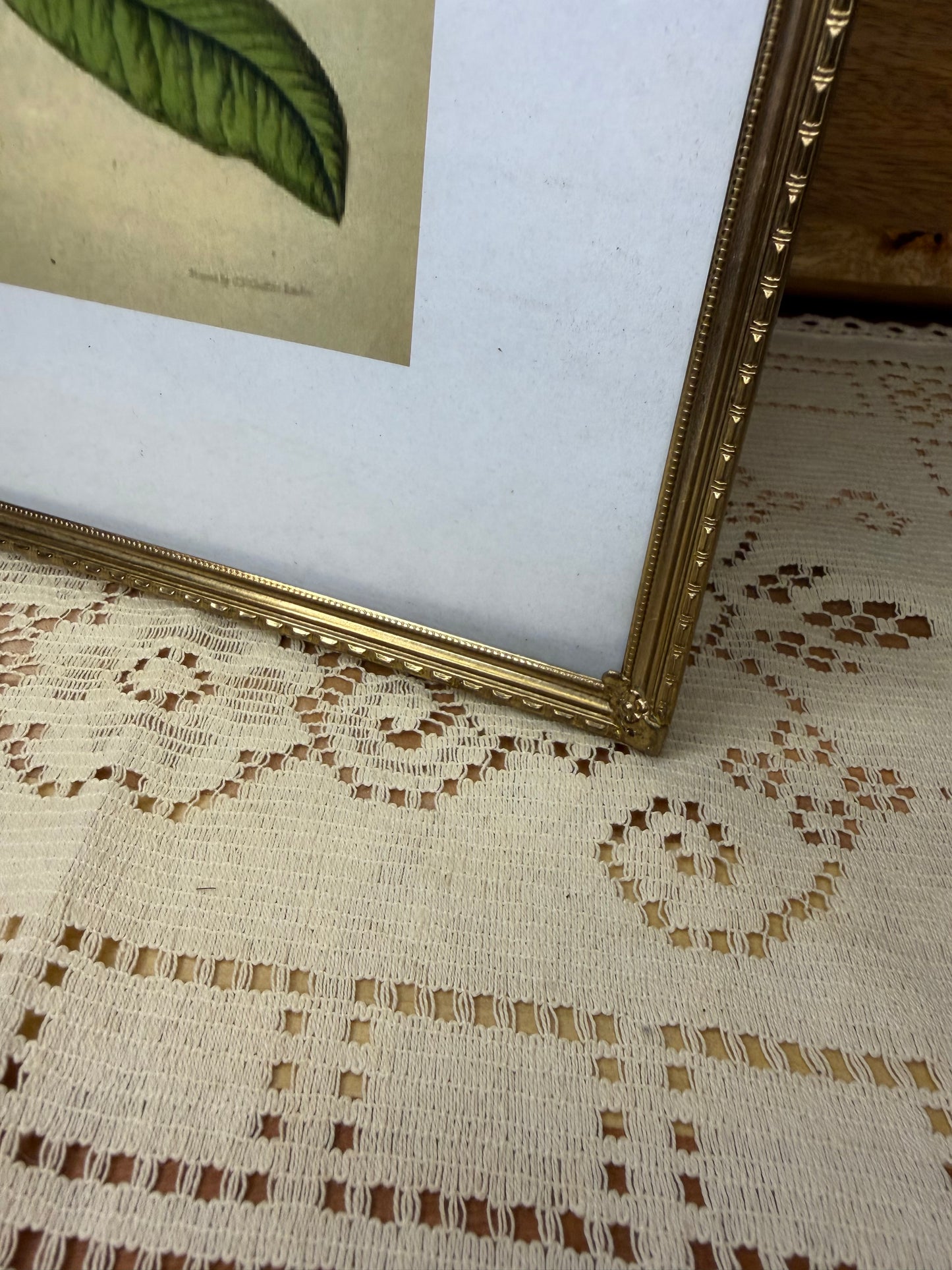 Vintage Gold Metal 8x10 Picture Frame (1950s–1960s)