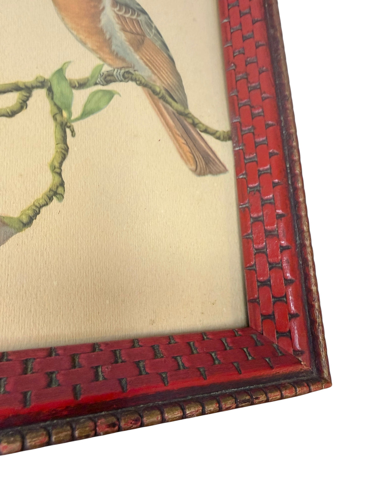 Vintage D. Alexandroff Bird & Blossom Botanical Print – Ornate Red Basketweave Frame – Mid-Century Wall Art