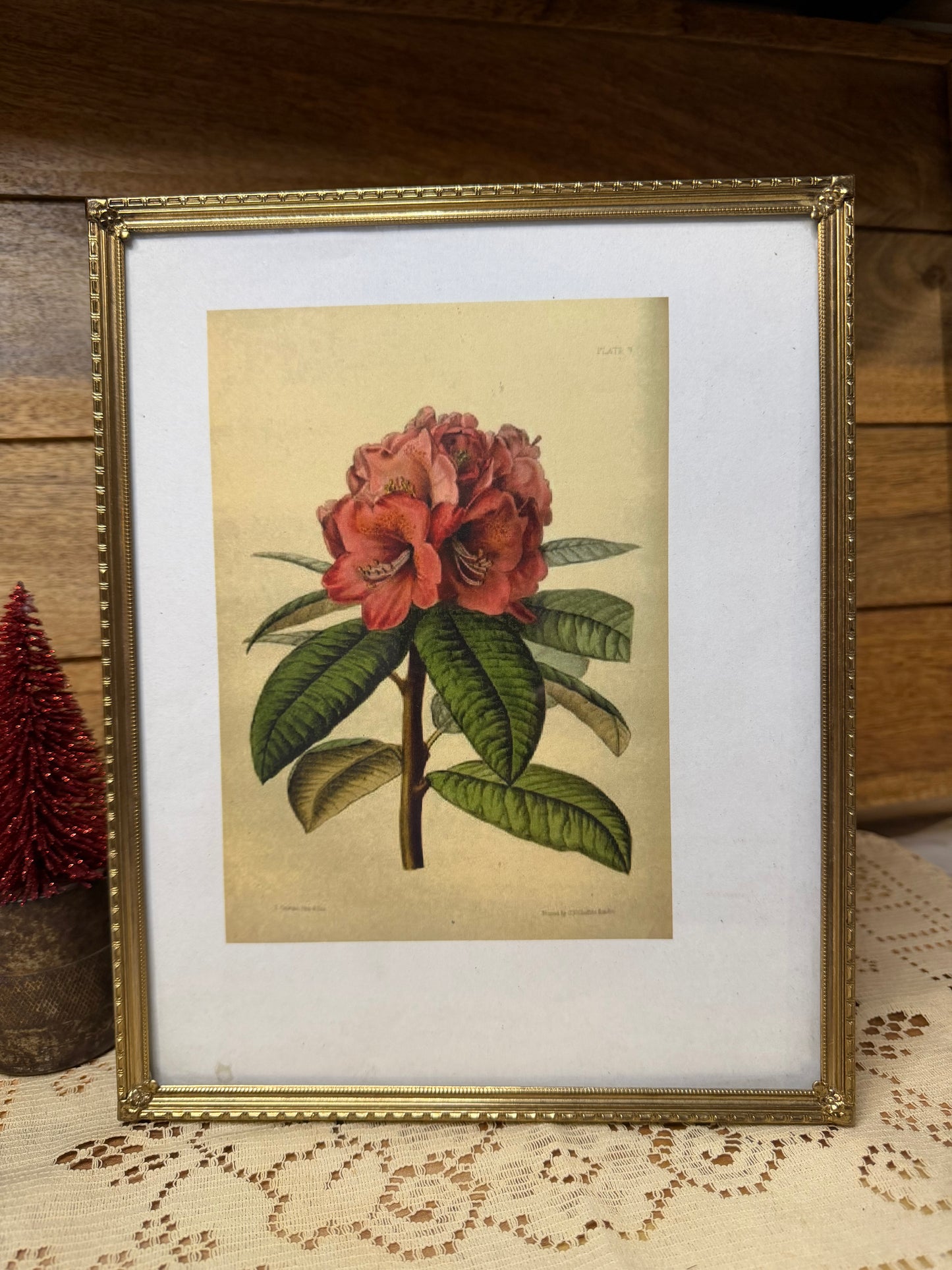 Vintage Gold Metal 8x10 Picture Frame (1950s–1960s)