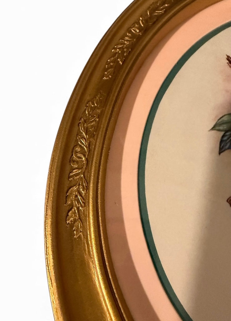 Vintage Homco Home Interiors Bird Prints in Oval Gold-Tone Frames (Set of 2) | Circa 1983