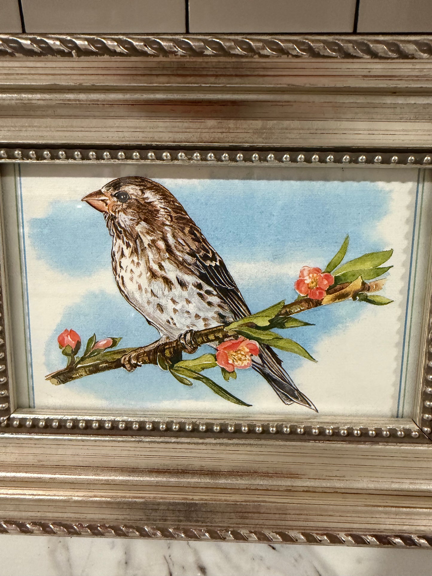 Vintage-Style Finch Illustration in Ornate Silver Frame