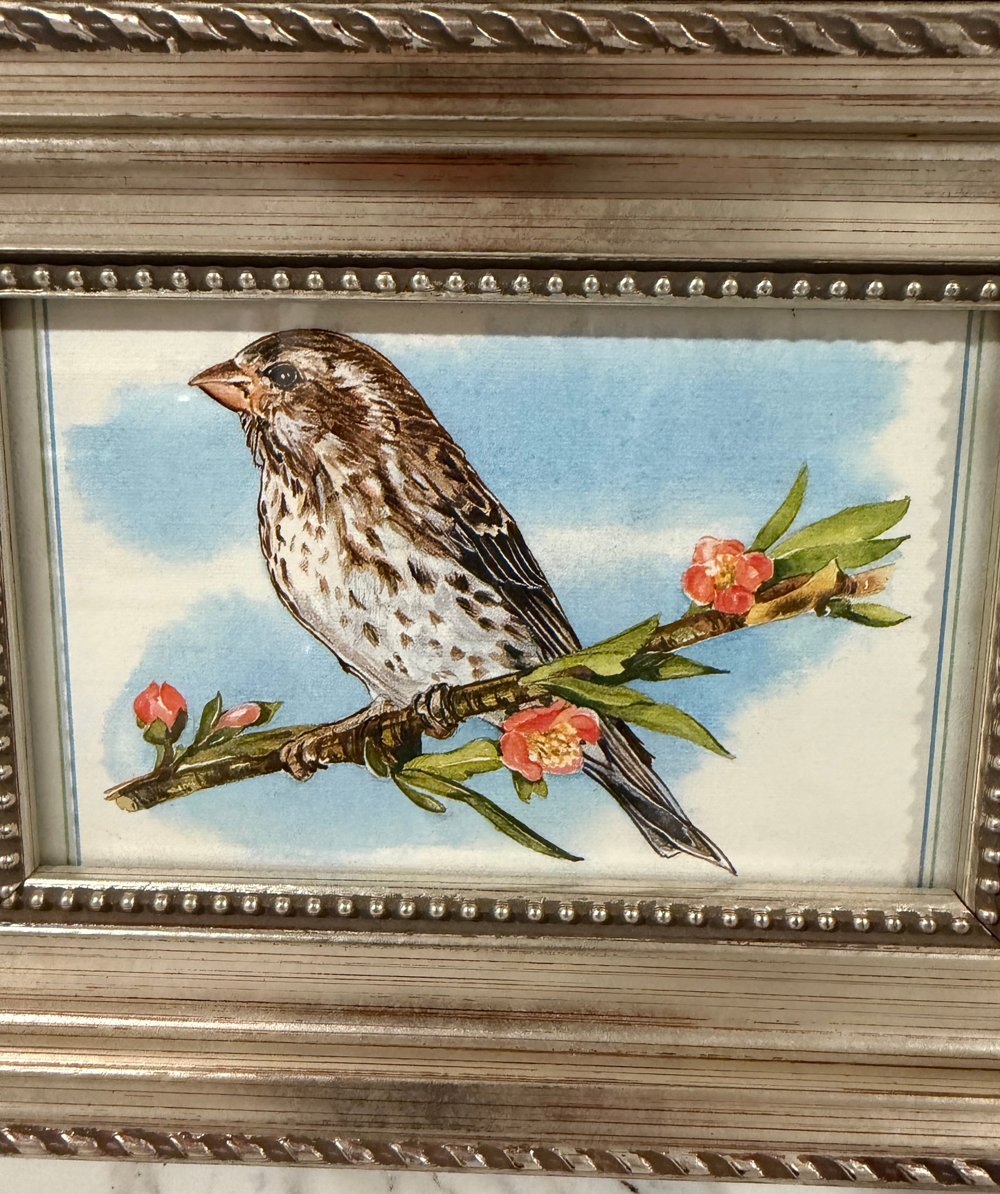 Vintage-Style Finch Illustration in Ornate Silver Frame