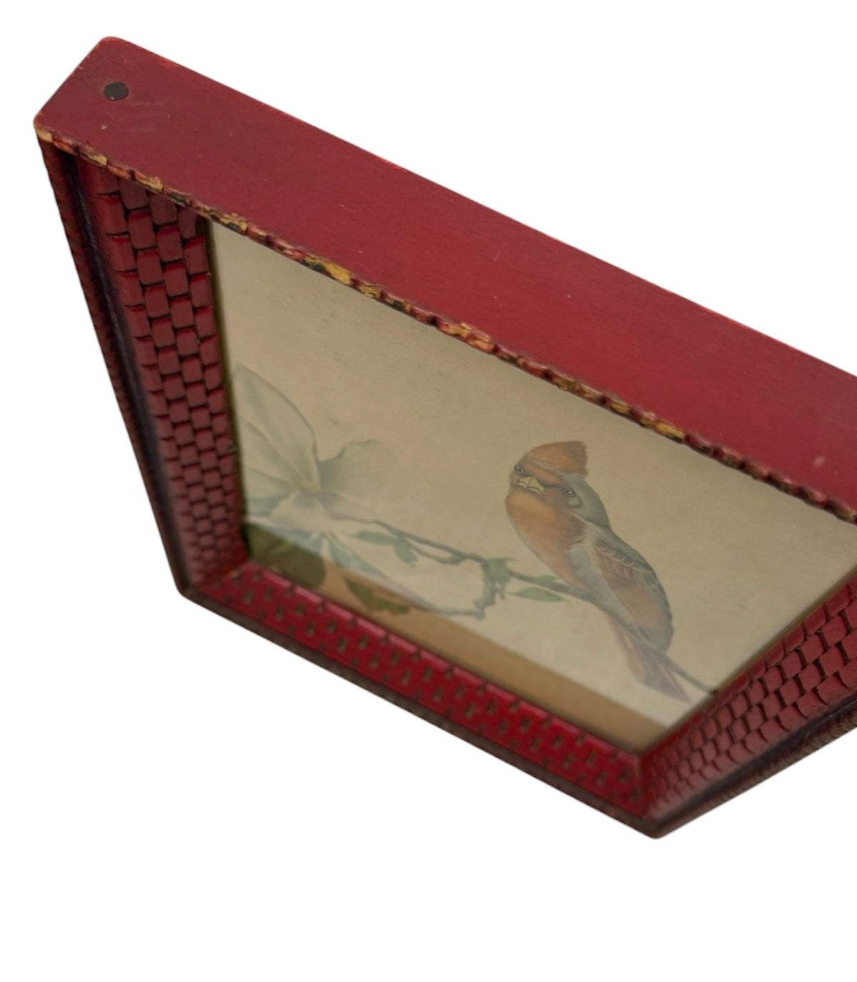 Vintage D. Alexandroff Bird & Blossom Botanical Print – Ornate Red Basketweave Frame – Mid-Century Wall Art