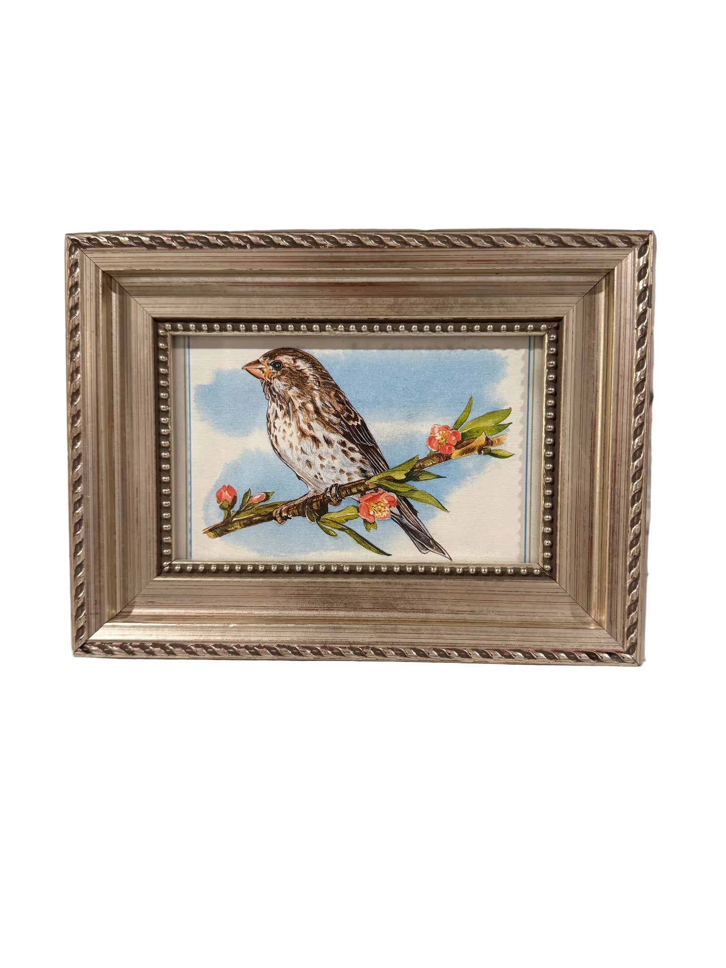 Vintage-Style Finch Illustration in Ornate Silver Frame