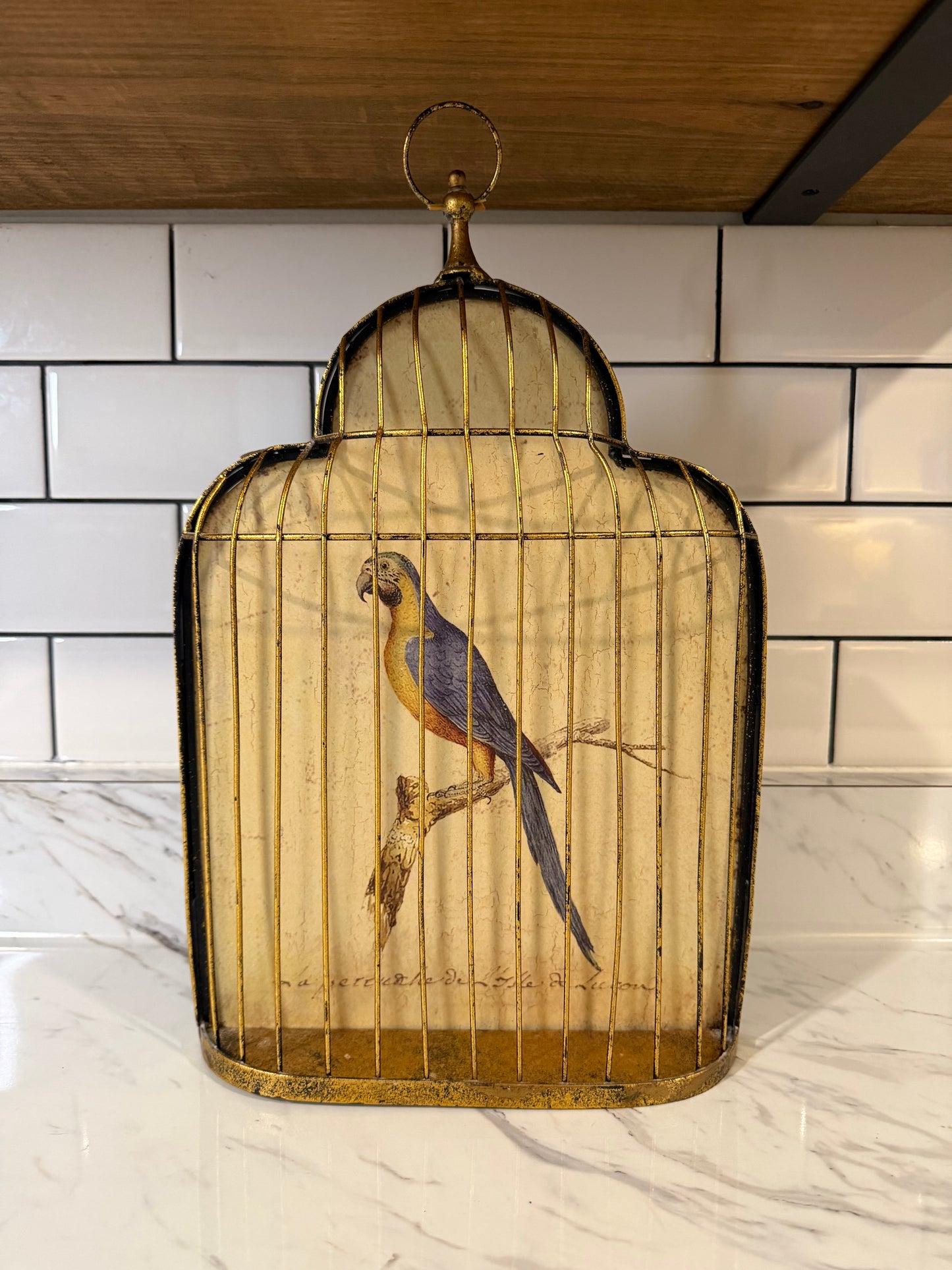 Trompe-l’œil Birdcage Wall Art