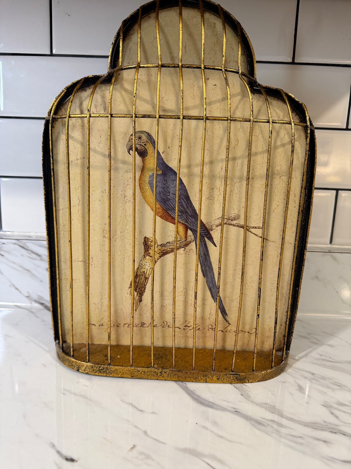 Trompe-l’œil Birdcage Wall Art