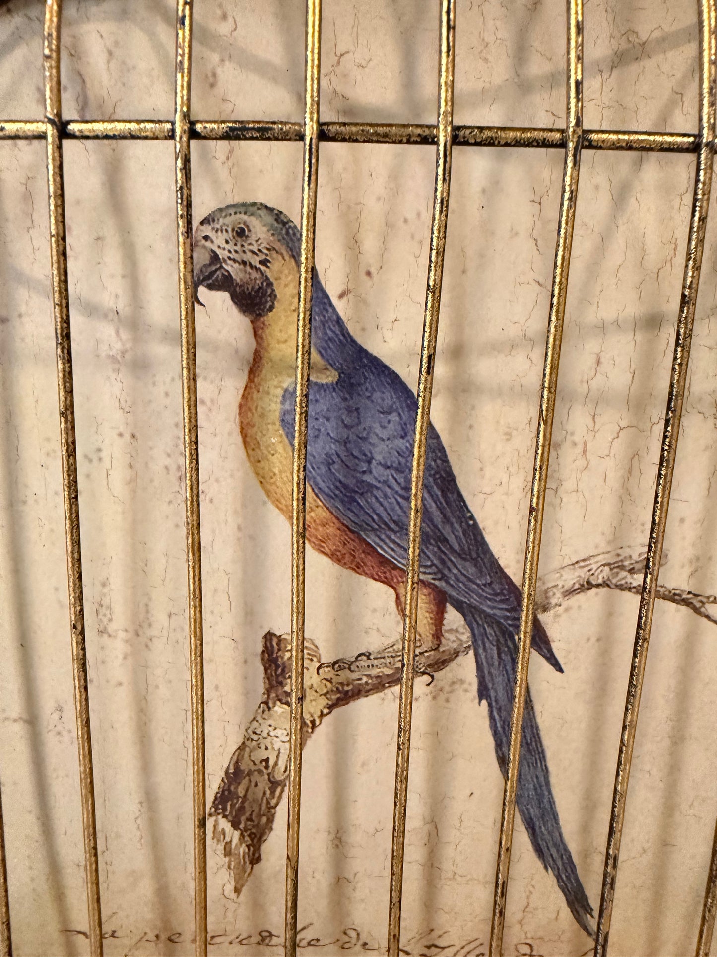 Trompe-l’œil Birdcage Wall Art