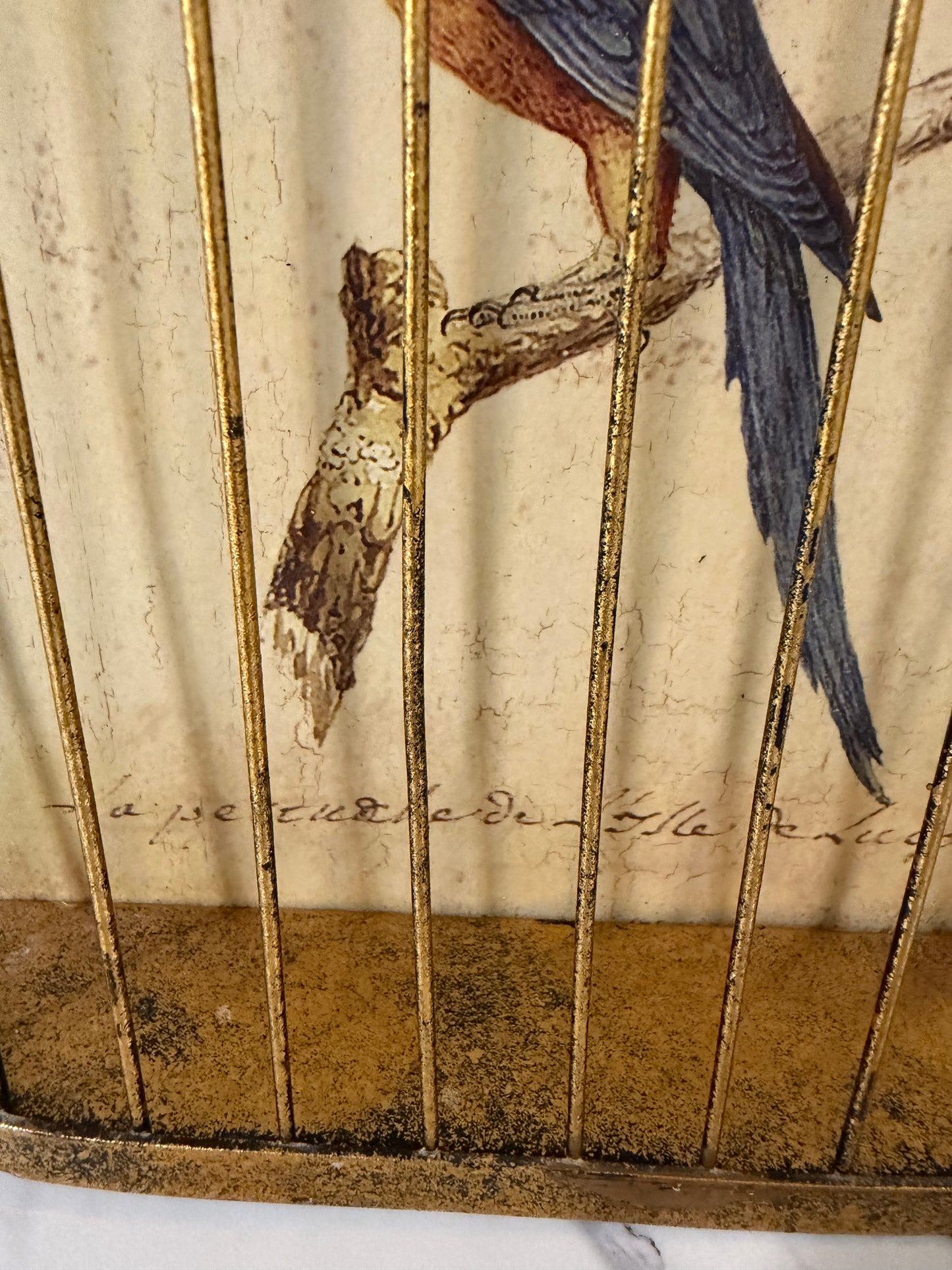 Trompe-l’œil Birdcage Wall Art