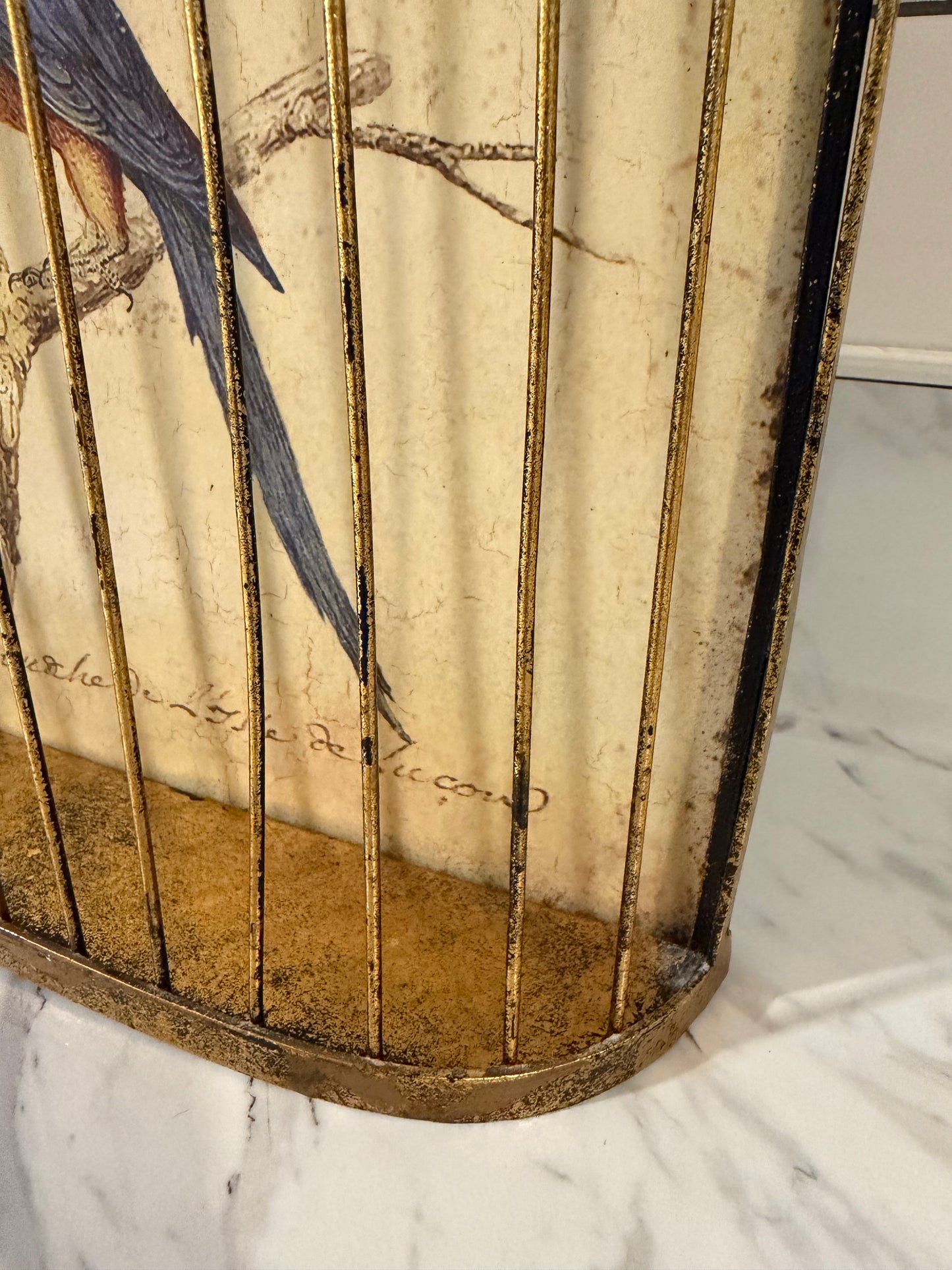 Trompe-l’œil Birdcage Wall Art