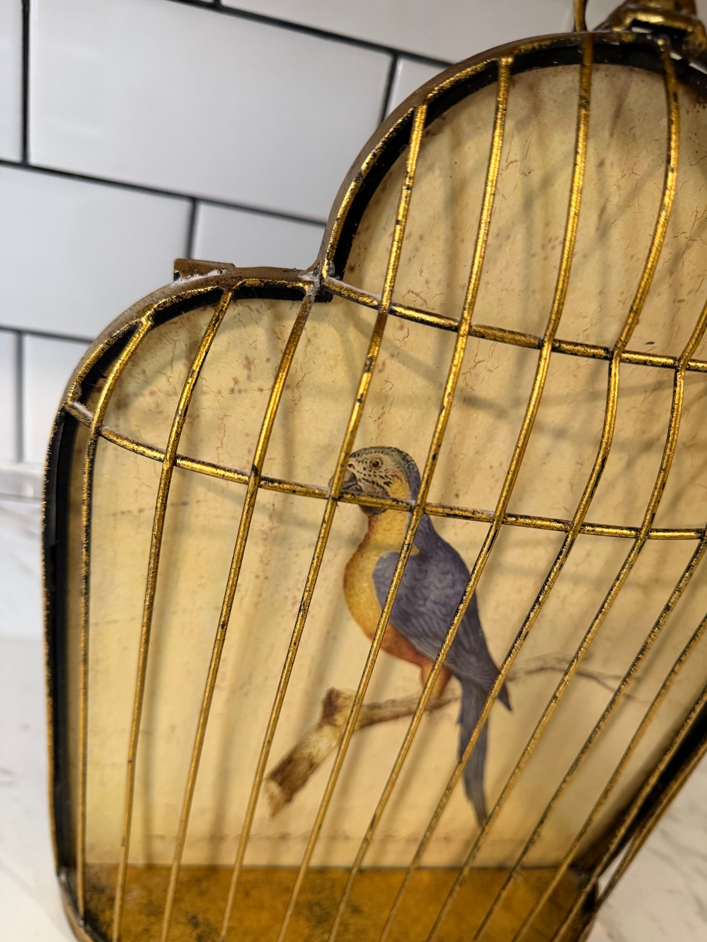 Trompe-l’œil Birdcage Wall Art