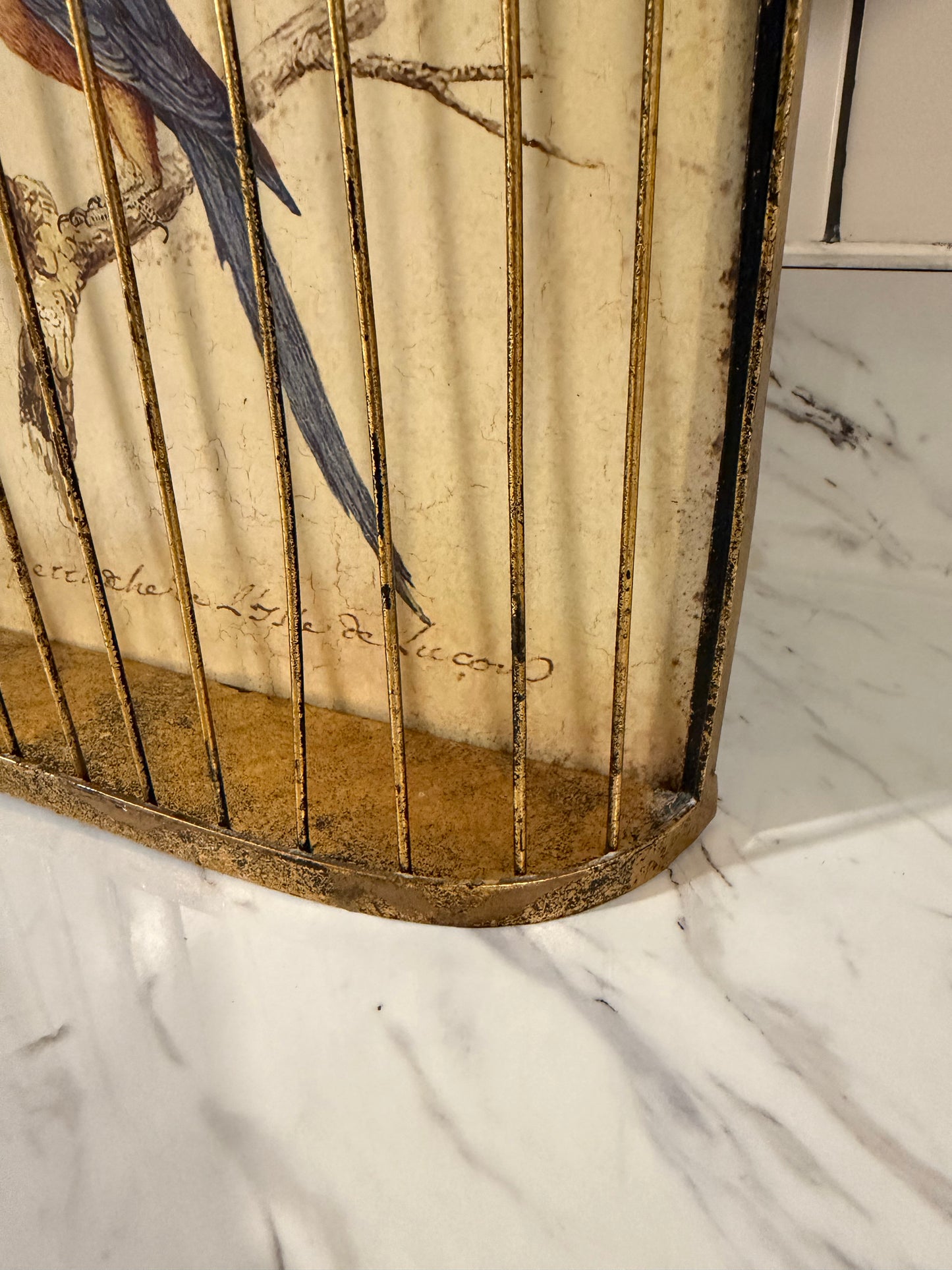 Trompe-l’œil Birdcage Wall Art