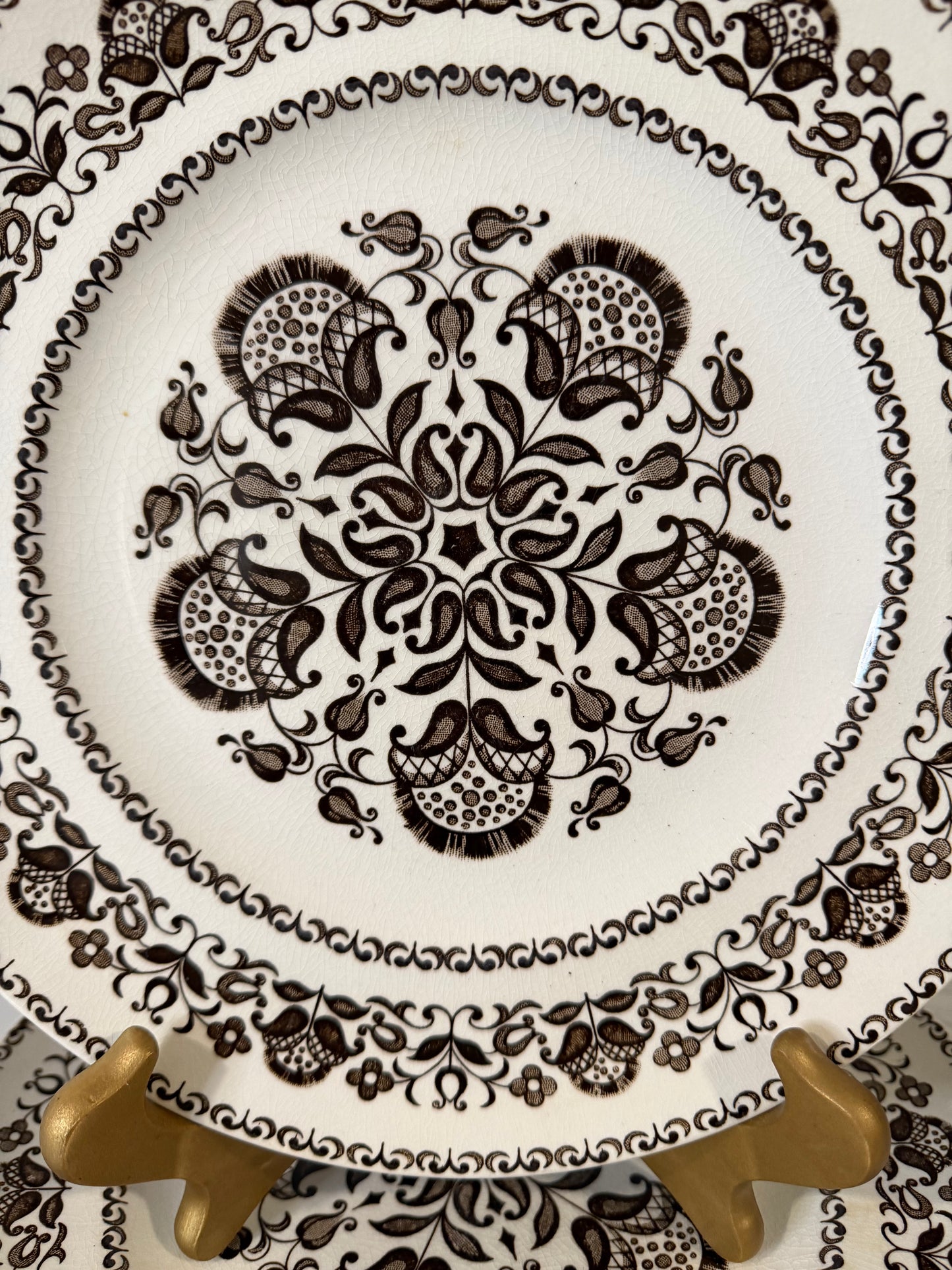 Wellesley Pattern Dinner Plate by Wood & Sons, Burslem, England