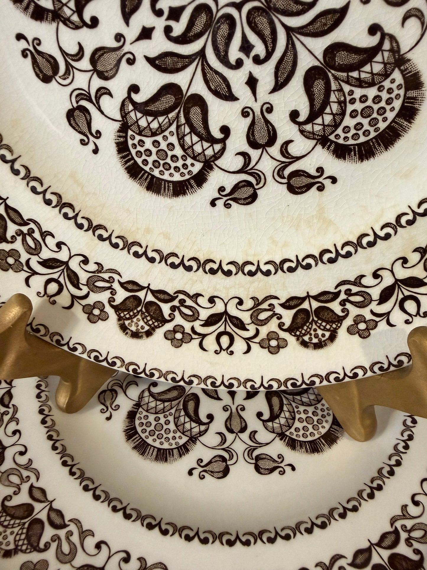 Wellesley Pattern Dinner Plate by Wood & Sons, Burslem, England